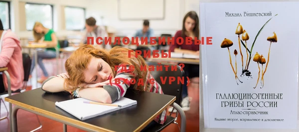 СК Дмитриев