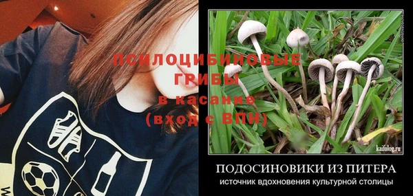 a pvp Дмитровск