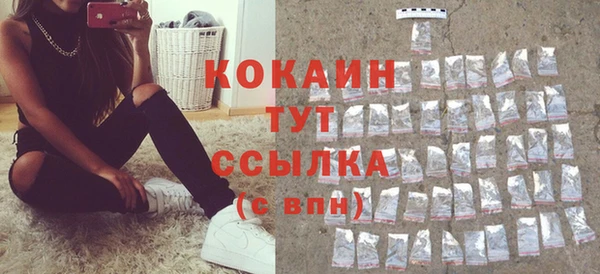 мдпв Дмитров