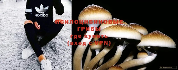 СК Дмитриев