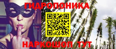 соль ск Балахна