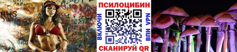 Псилоцибиновые грибы мицелий  Вичуга 