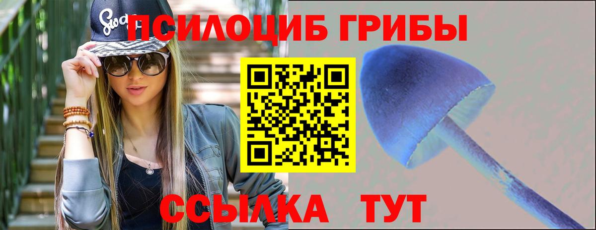 Галлюциногенные грибы GOLDEN TEACHER  Галлюциногенные грибы Psilocybe  Вичуга 
